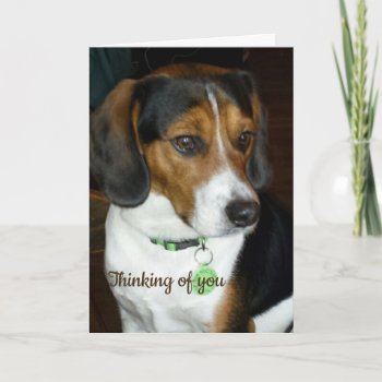 Thinking Of You Beagle Card by FloralZoom at Zazzle