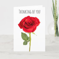 Thinking of You Beautiful Red Rose