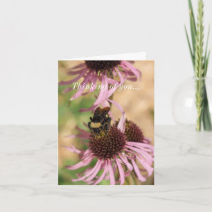 Thinking of you Bee On Black Eyed Susan Pano Card
