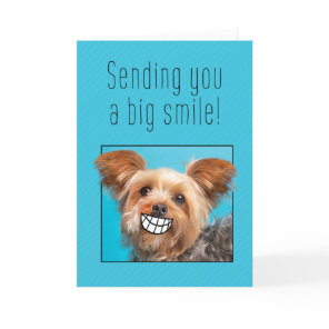 Thinking of You Big Smile Yorkie Dog Holiday Card