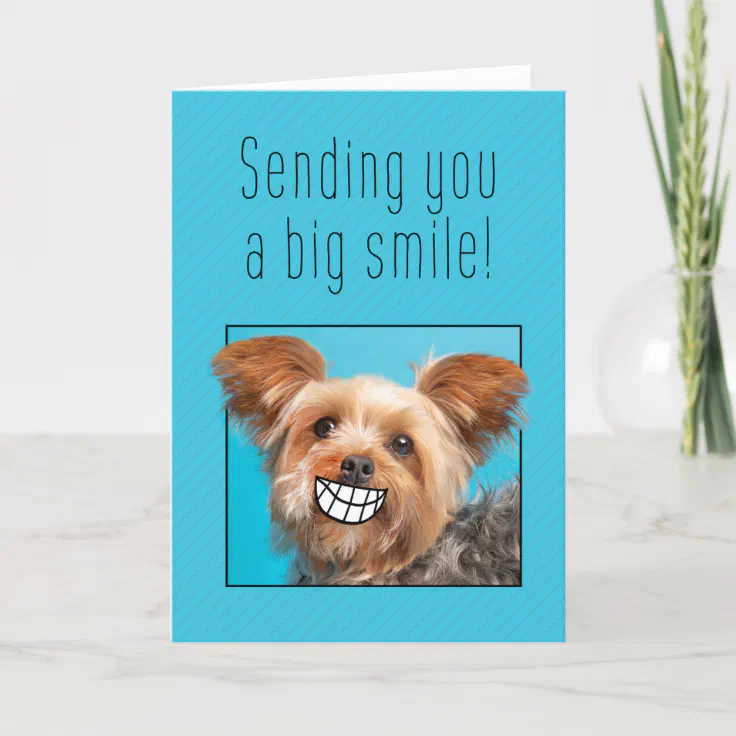 Thinking of You Big Smile Yorkie Dog Holiday Card | Zazzle