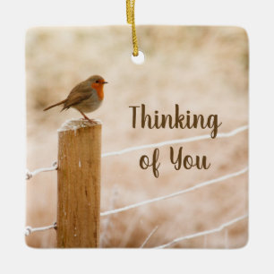 Thinking of You Bird on a Fence Post Ornament