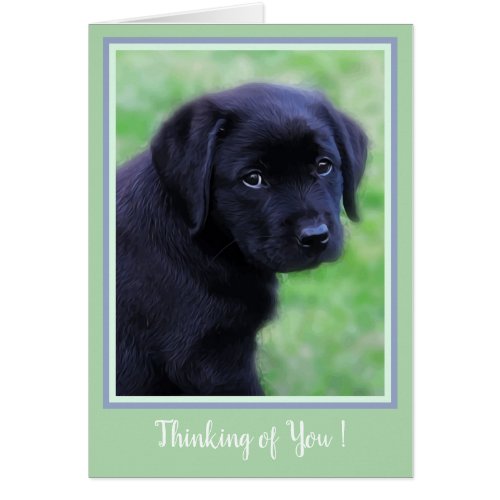 Thinking of You _ Black Labrador Puppy _ Cute Dog
