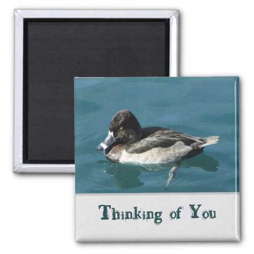 Thinking of You Black White Duck Lake Animal Magnet