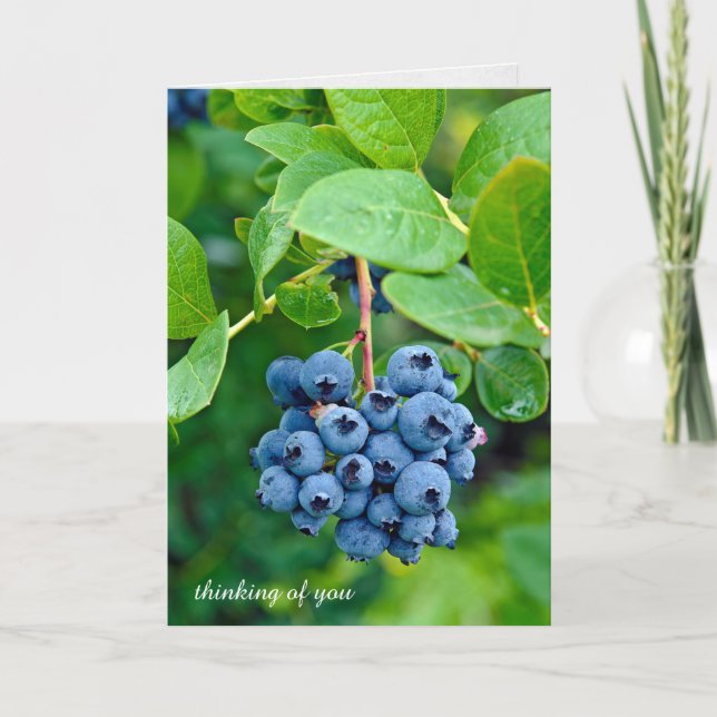 thinking of you-blueberries on bush card (Front)