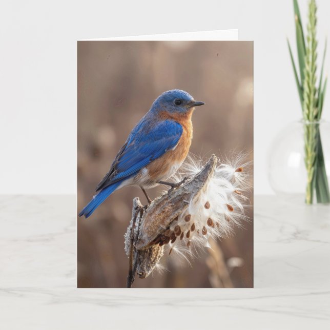 Thinking of You Bluebird on a Milkweed Pod Card (Front)
