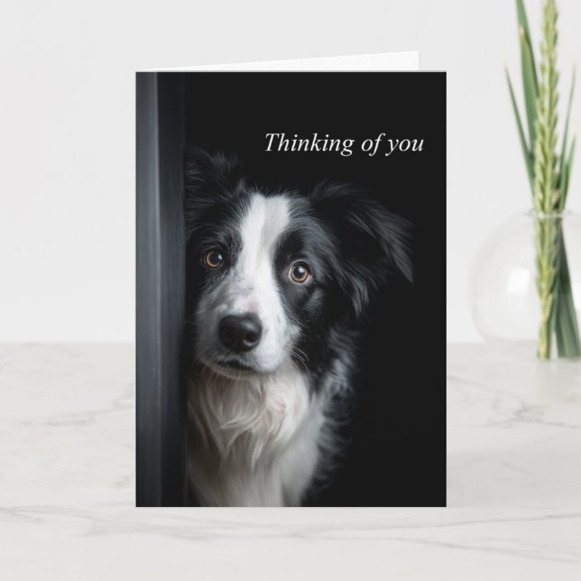 Thinking of You Border Collie Card (Front)