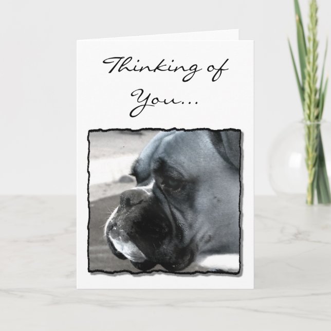 Thinking of You Boxer dog greeting card (Front)
