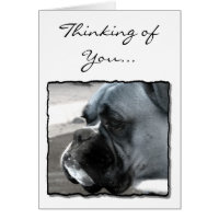 Thinking of You Boxer dog greeting card