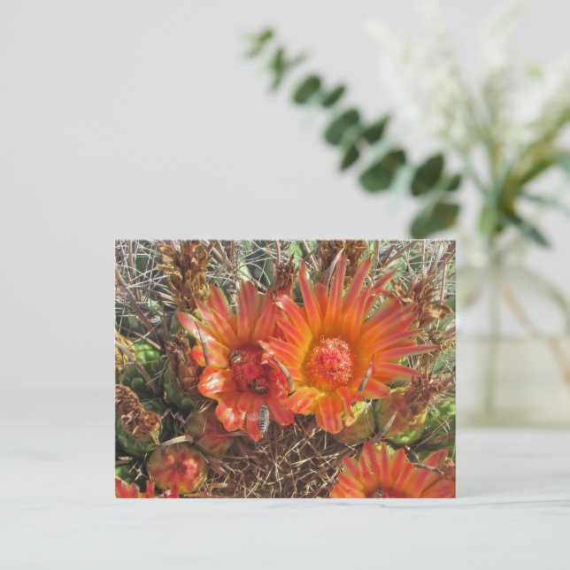 Thinking of You Bright Orange Cactus Flower Photo Postcard (Standing Front)