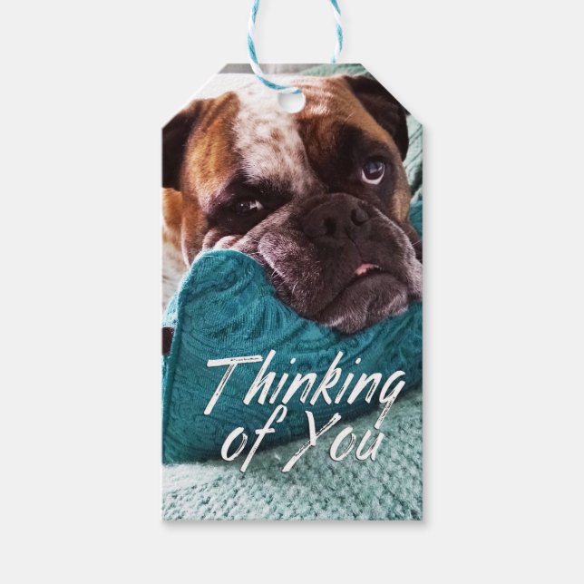 Thinking of You Bulldog Photo Gift Tag (Front)