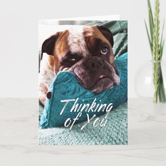Thinking of You Bulldog Photo Sympathy Card (Front)