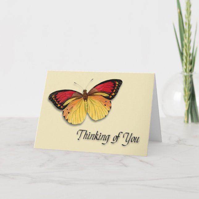 Thinking of You butterfly Card (Front)