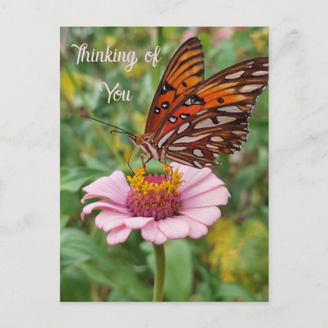 Thinking of You Butterfly Postcard (Front)