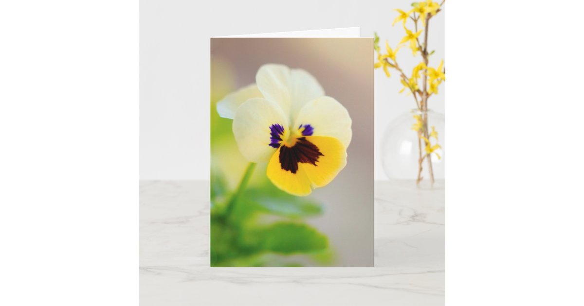 Thinking Of You Cancer Support Card  Zazzle