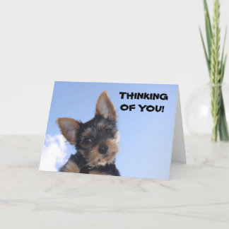 THINKING OF YOU! CARD