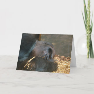 Thinking of you. card