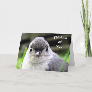Thinking Of You Card by kahmier at Zazzle