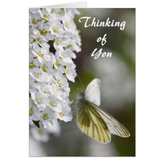 Thinking Of You Cards | Zazzle