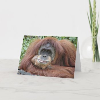 Thinking Of You Card by deemac1 at Zazzle