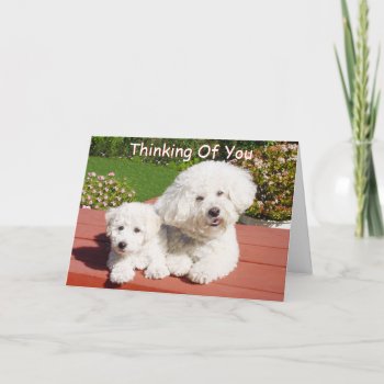 Thinking Of You Card by mvdesigns at Zazzle