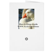 Thinking of you_ Card (Back)