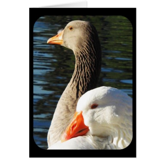 Thinking of you_ Card (Front)