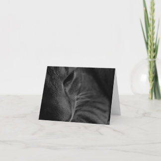 "Thinking Of You..." Card