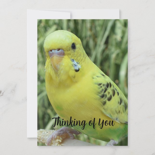 Thinking of You card (Front)