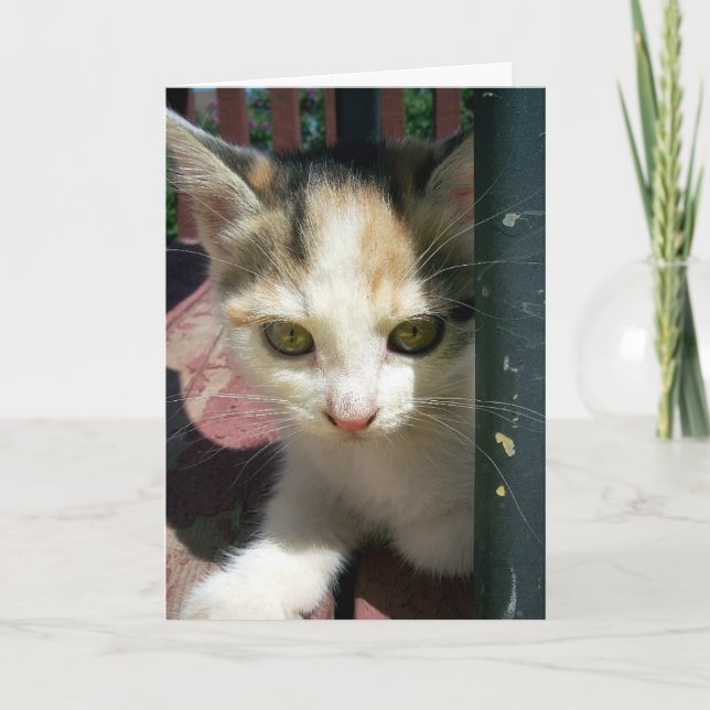 Thinking Of You Card (Front)