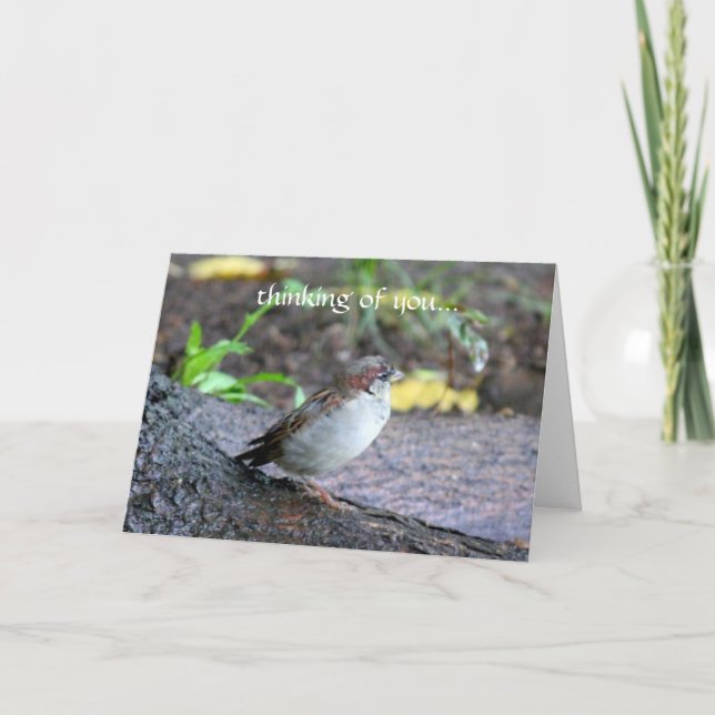 thinking of you... card (Front)