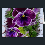 Thinking of You Card<br><div class="desc">Deep Purple Pansies</div>