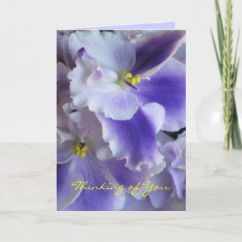 Thinking Of You Card by ggbythebay at Zazzle