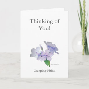 Thinking of You! Card