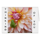 Thinking of you card - Blank inside (Front Horizontal)