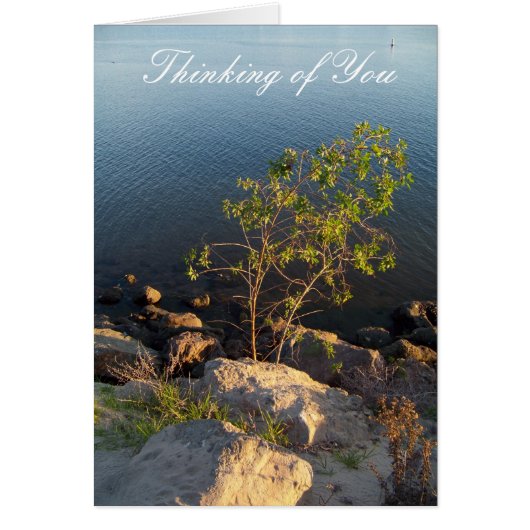 Thinking of You_Card Cards (Front)
