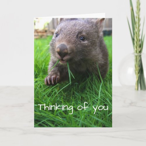 Thinking of you card Cute wombat wildlife card