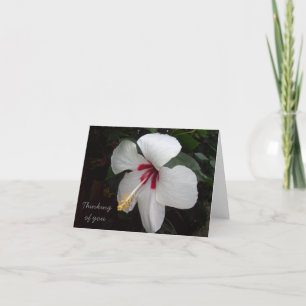 Thinking of You card - flowers