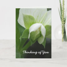 Thinking of You Card template customizable