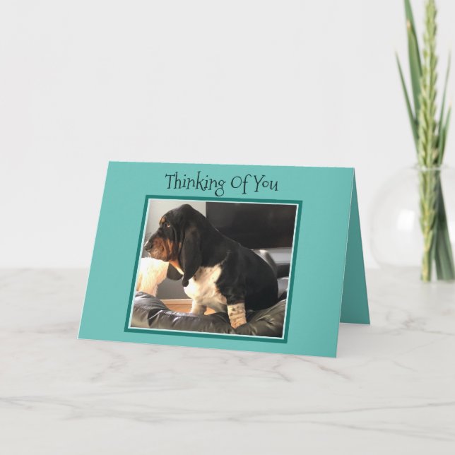 "Thinking Of You" Card W/Cute Basset Hound (Front)