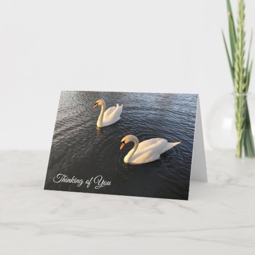Thinking of you card with image of two swans