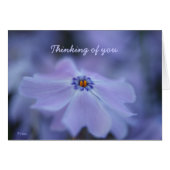 thinking of you cards (Front Horizontal)