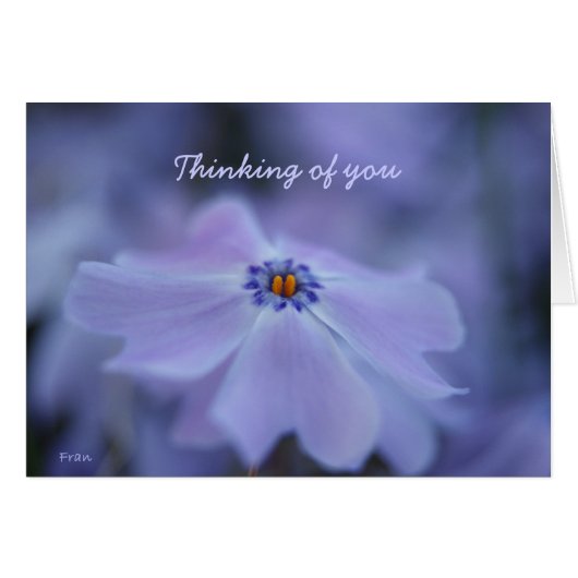 thinking of you cards (Front Horizontal)