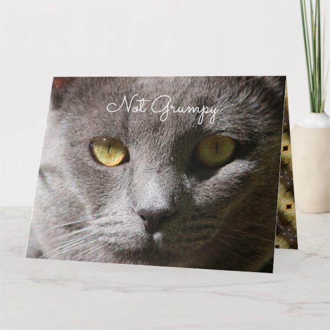 Thinking Of You Cat Card (Front)