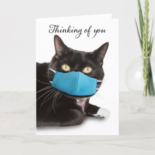 Thinking of You Cat in Blue Face Mask Holiday Card