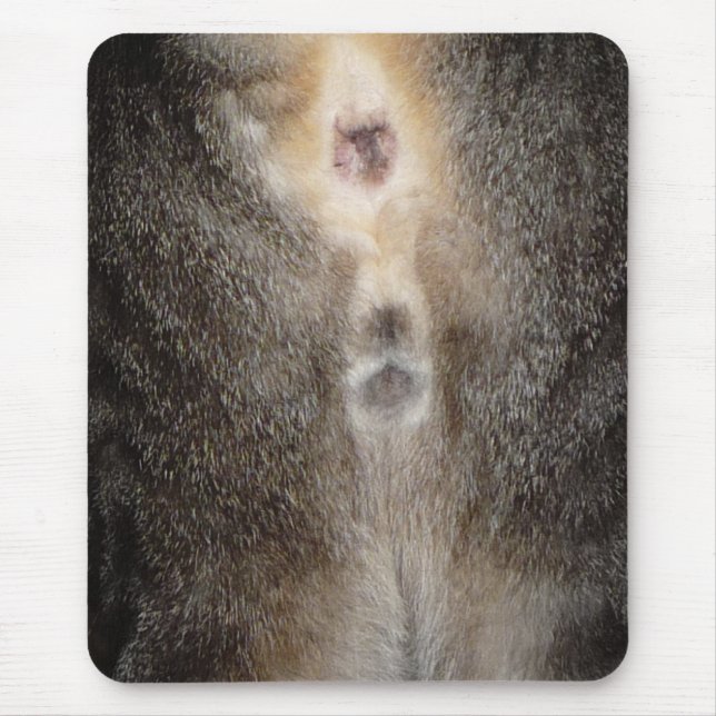 Thinking of you Cat Mousepad (Front)