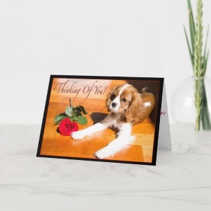 Thinking Of You Cavalier King Charles Spaniel Pup Card