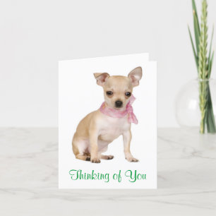 Thinking of  You Chihuahua Puppy Dog Greeting Card