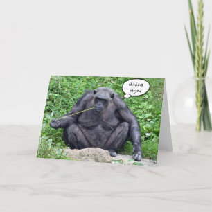 Thinking of You Chimpanzee Card