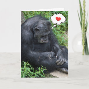 Thinking of You Chimpanzee Card